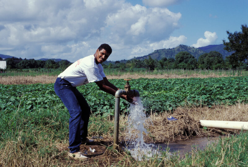 Irrigating the Fields — Water system irrigates field in The Dominican Republic — Dominican Republic, water, water system, irrigation, agriculture