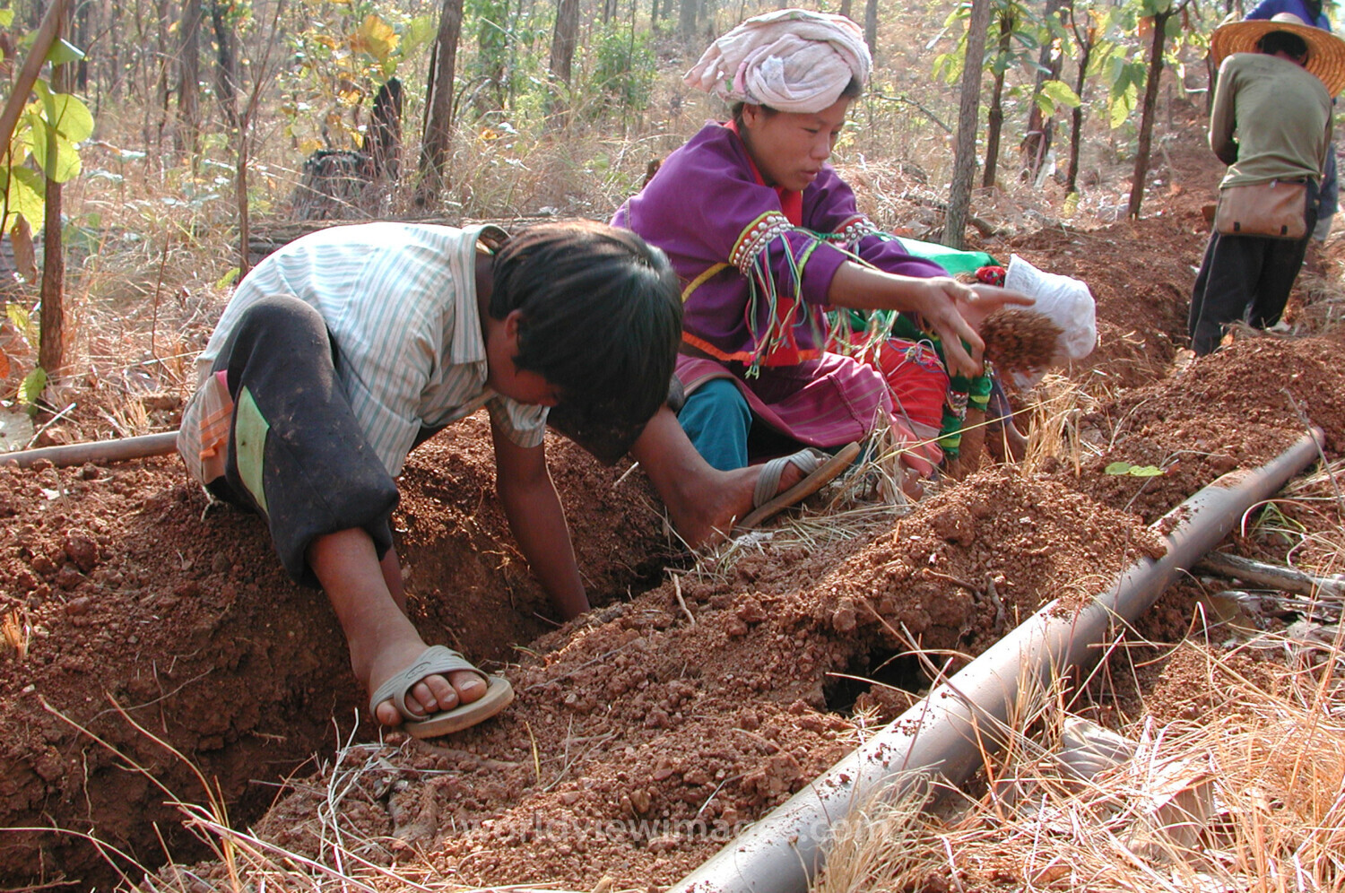 Gravity Fed Water System