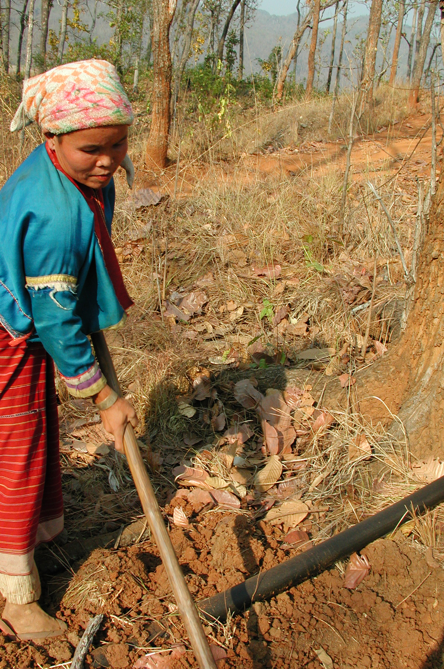 Gravity Fed Water System