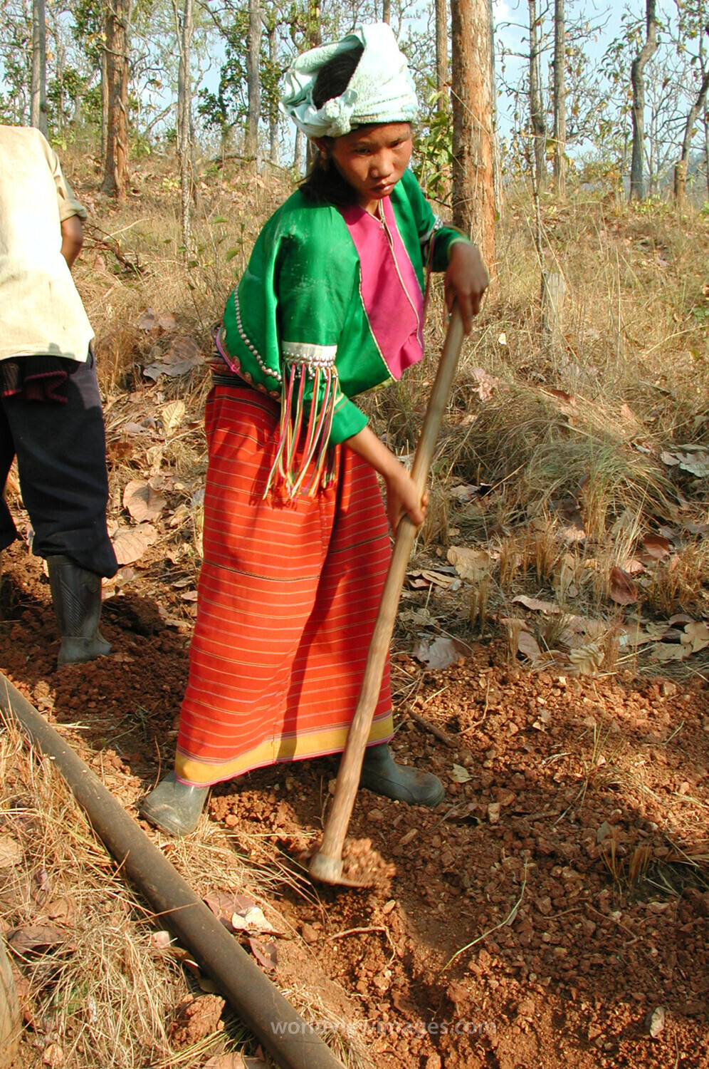 Gravity Fed Water System