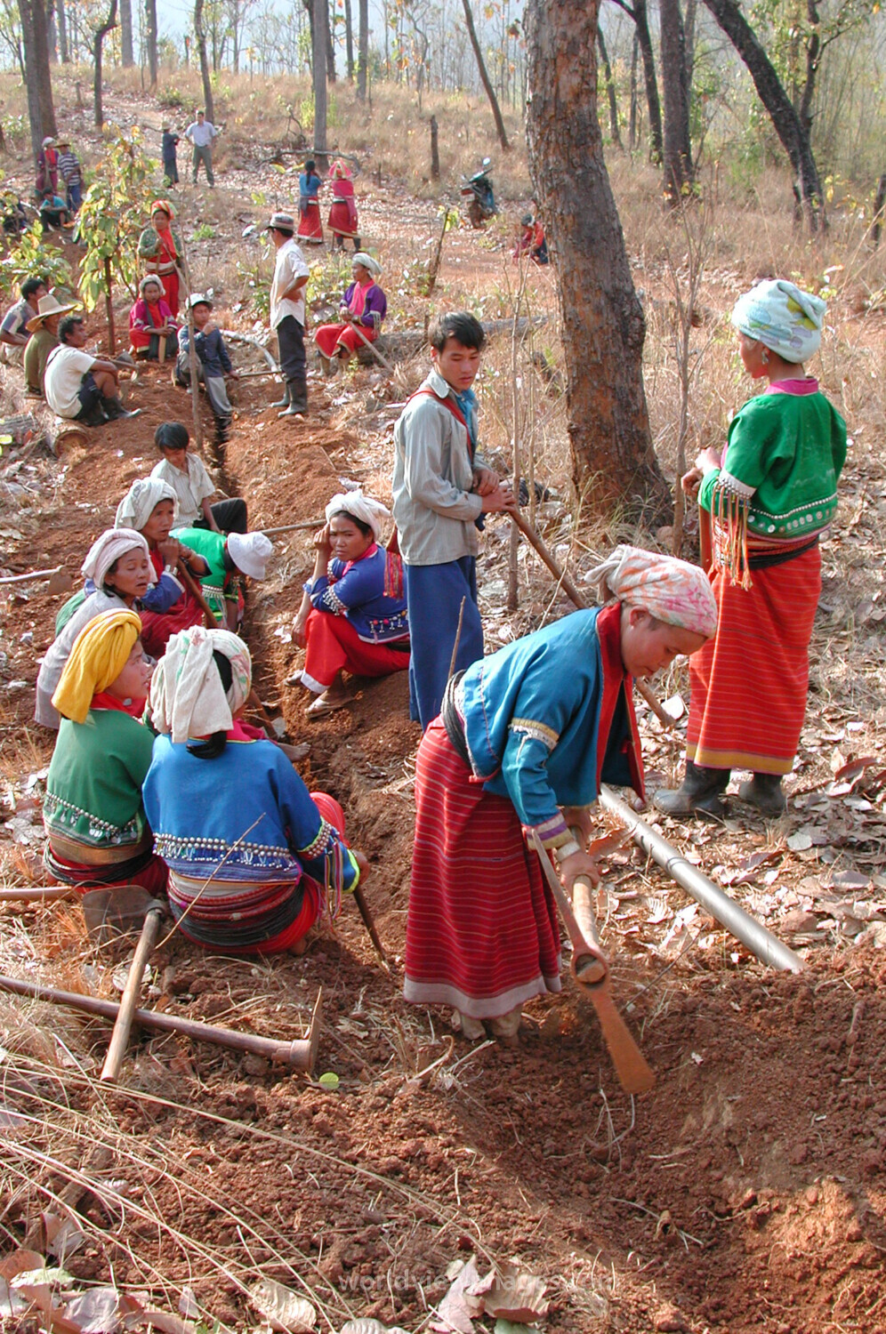 Gravity Fed Water System