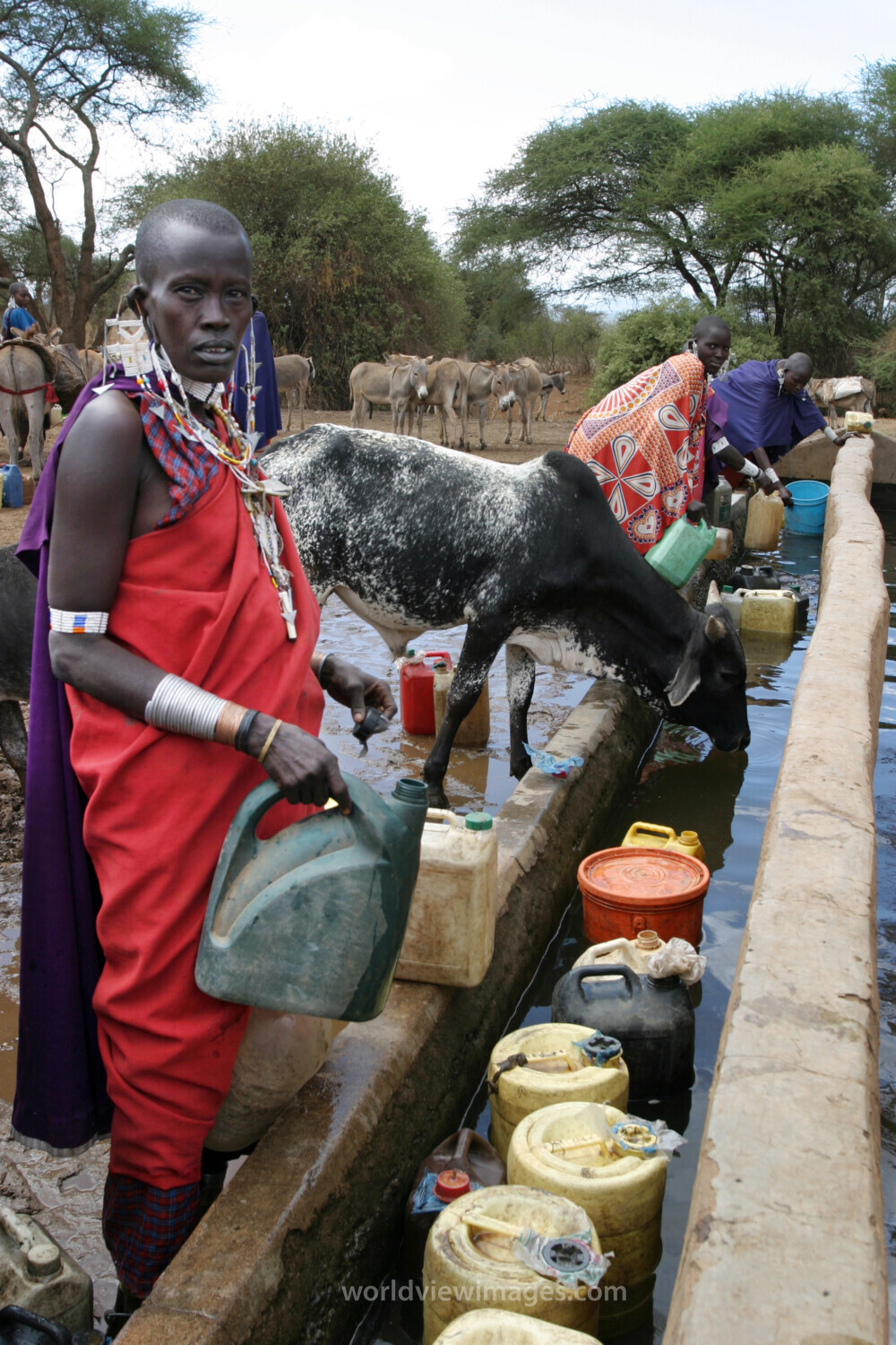 Maasai woman at Water Trough
