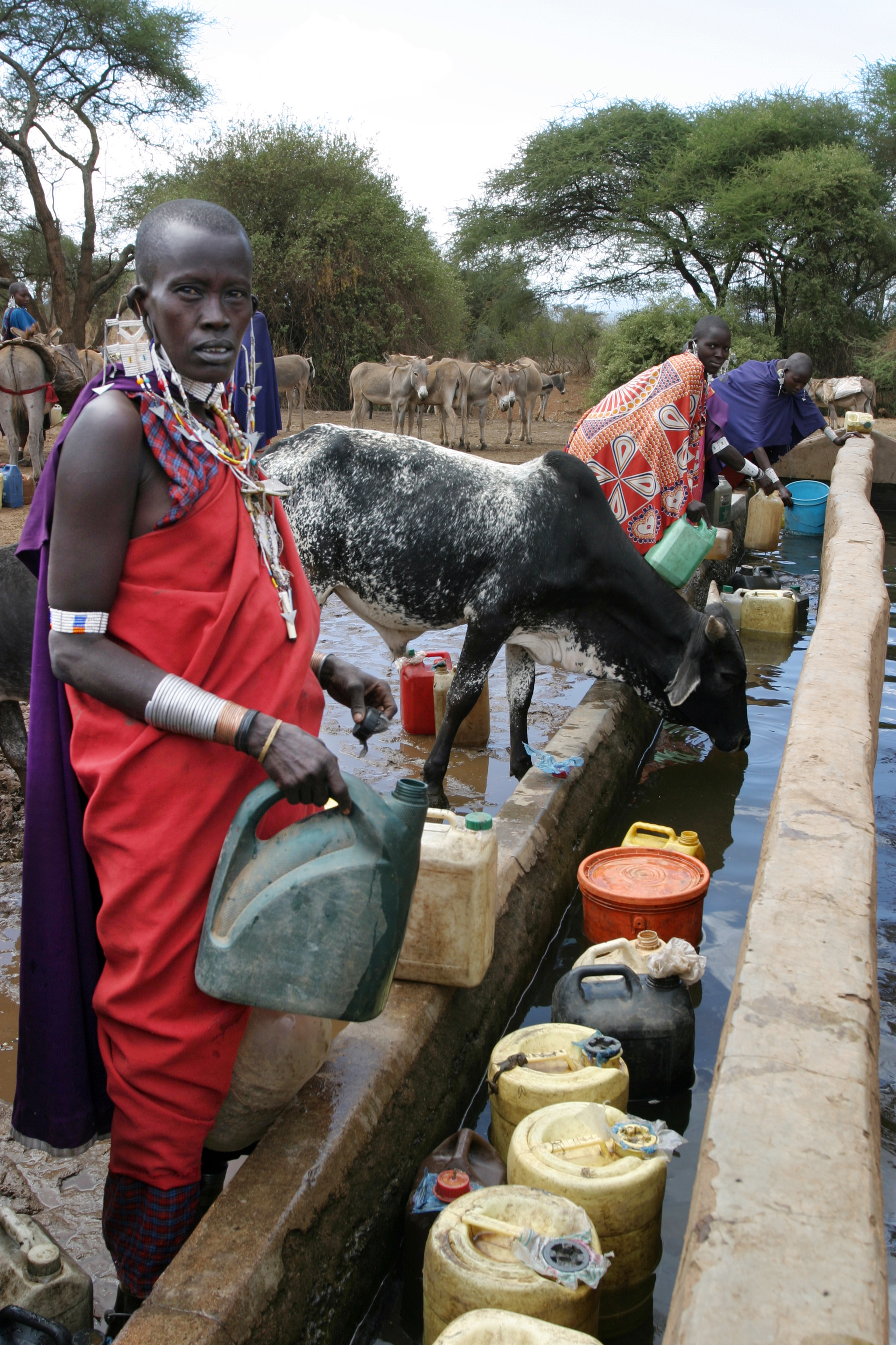Maasai woman at Water Trough