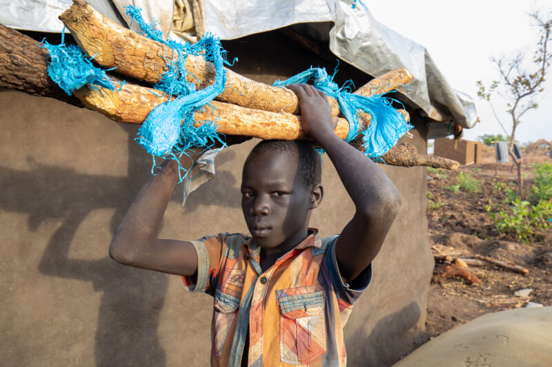 Collecting Firewood — Refugee child collects firewood for cooking. — Adult, Eyes Open, Frontal Face, Male, One Face