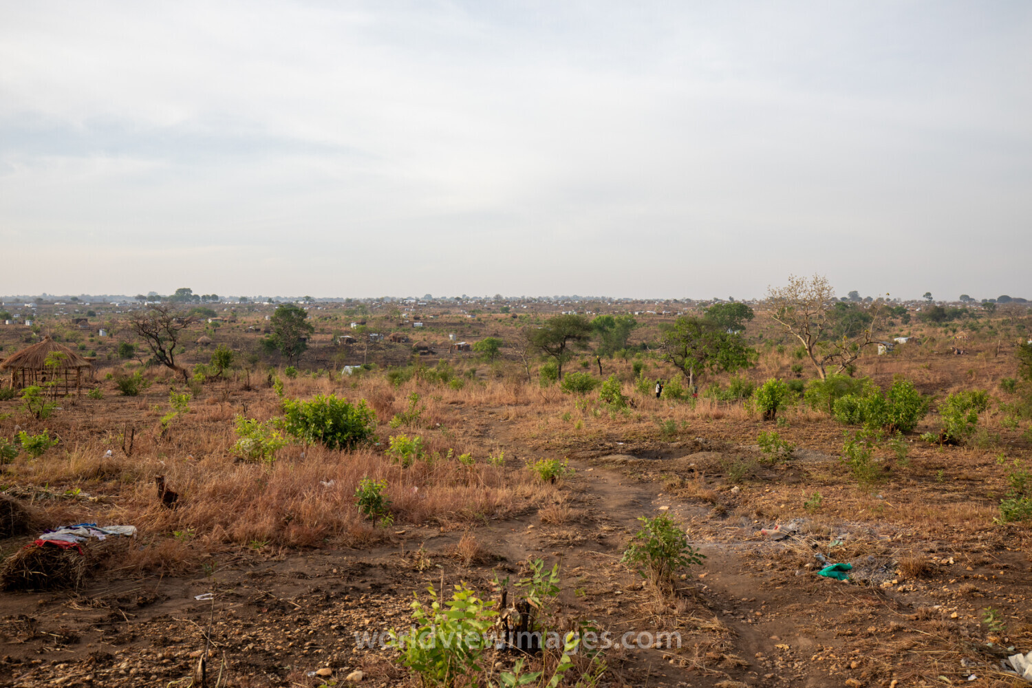 Refugee Settlement in Uganda