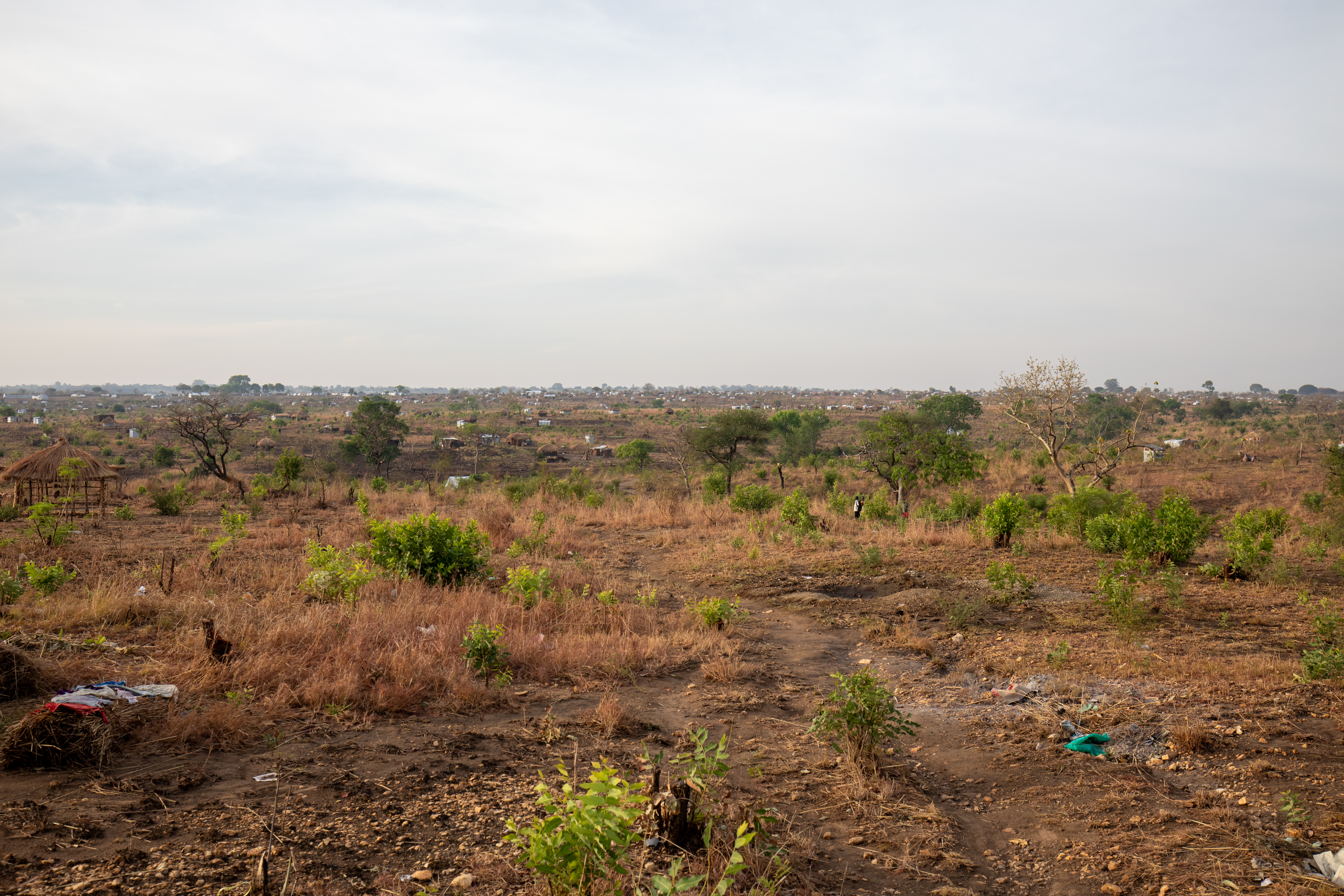 Refugee Settlement in Uganda