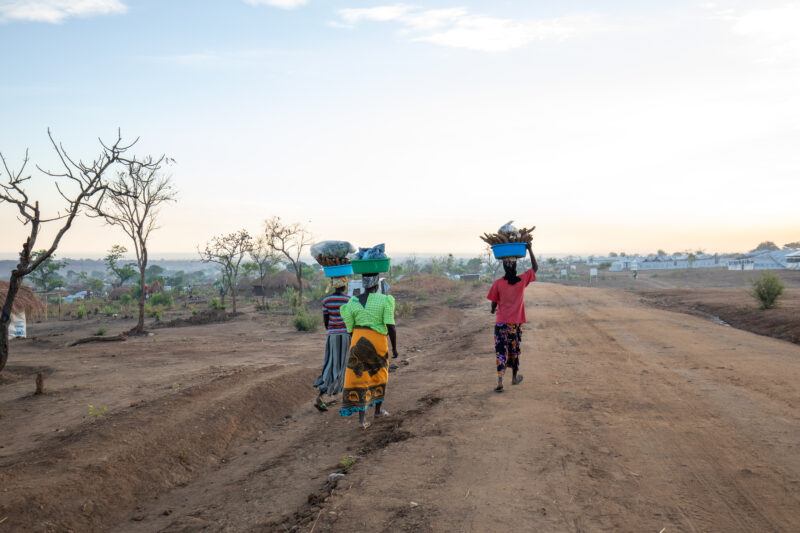 Refugee Settlement — Agriculture, Field, Nature, Person, Refugee