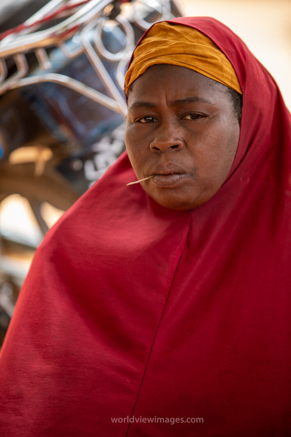 Women in Niger Attend Training