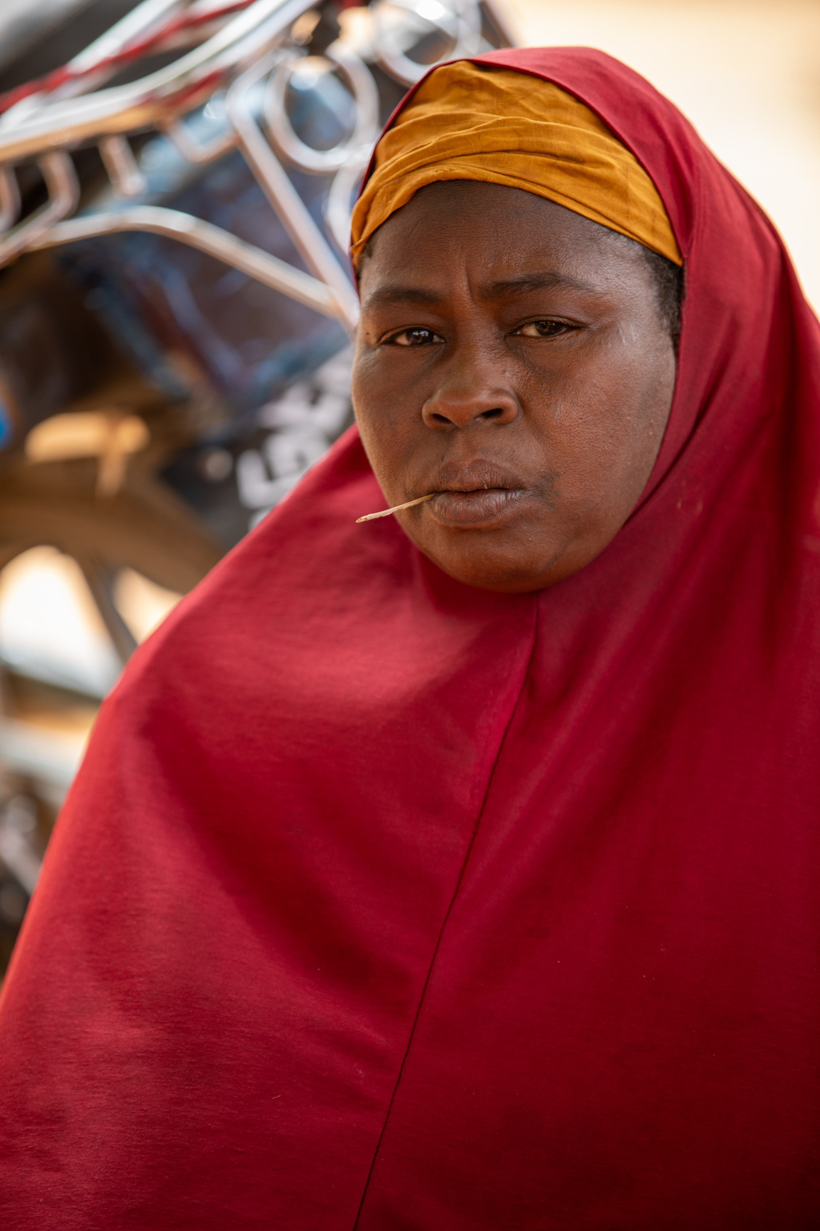 Women in Niger Attend Training