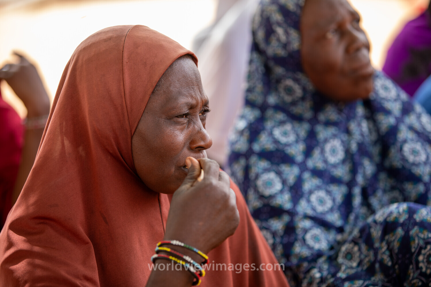 Women in Niger Attend Training