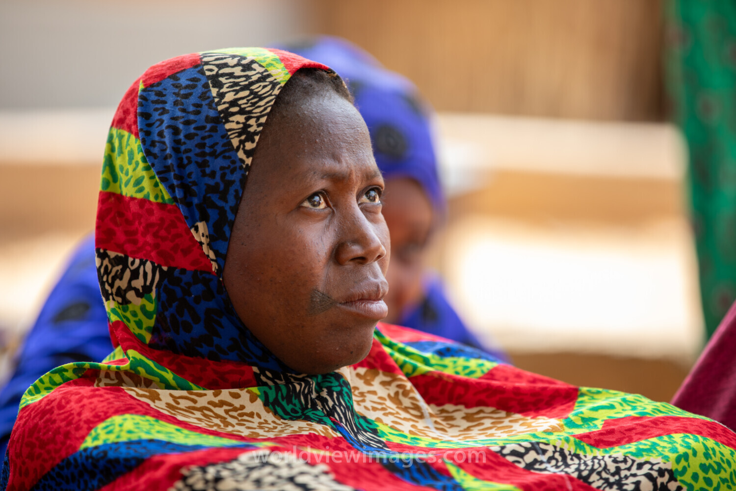 Women in Niger Attend Training