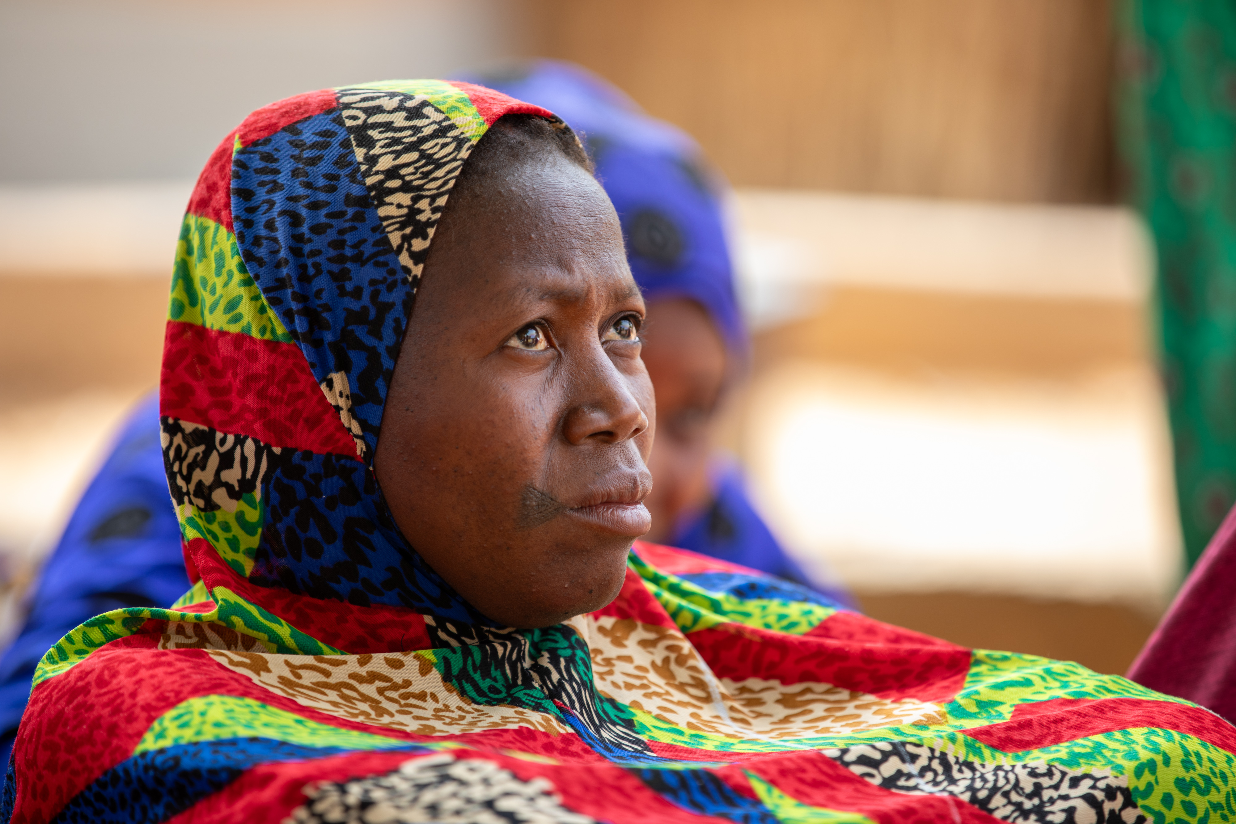 Women in Niger Attend Training