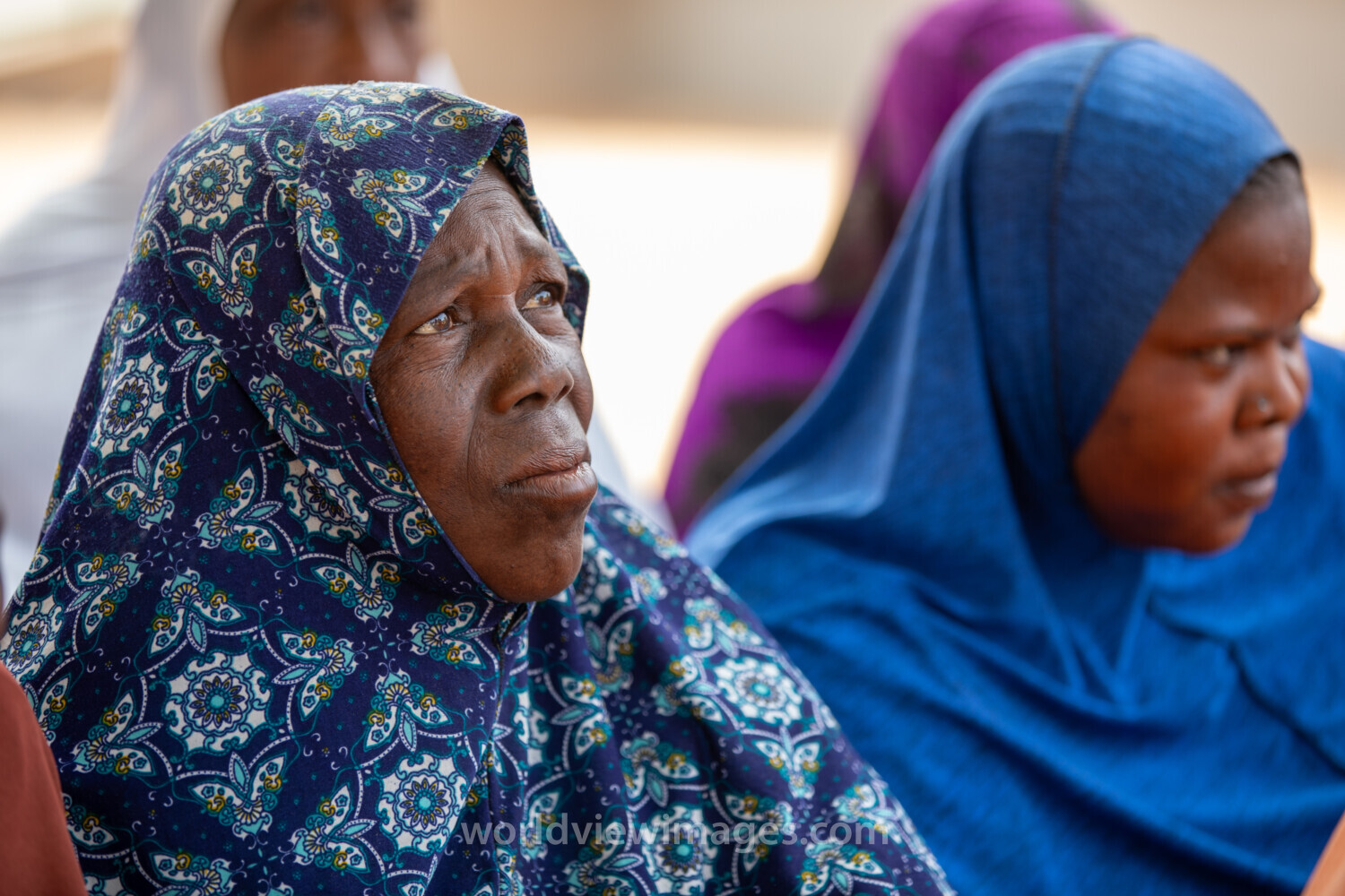 Women in Niger Attend Training