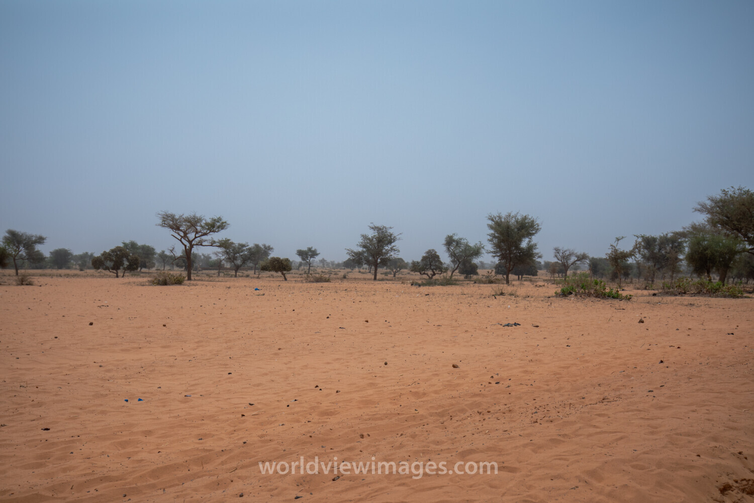 Dry Fields in Niger