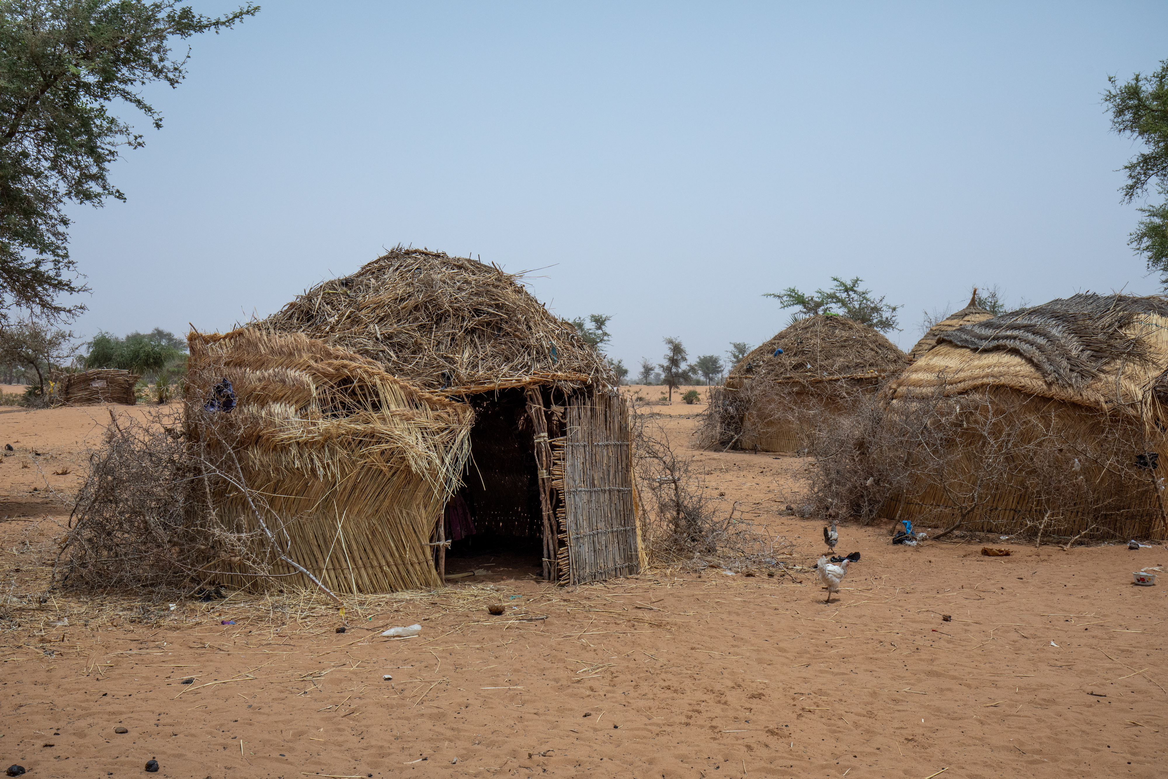 Rural Niger