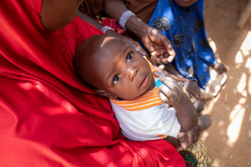 Temporary Classroom — Students in Niger, Africa, attend school in a classroom made of mud and sticks. — Africa, Baby, Child, Education, Eyes Open