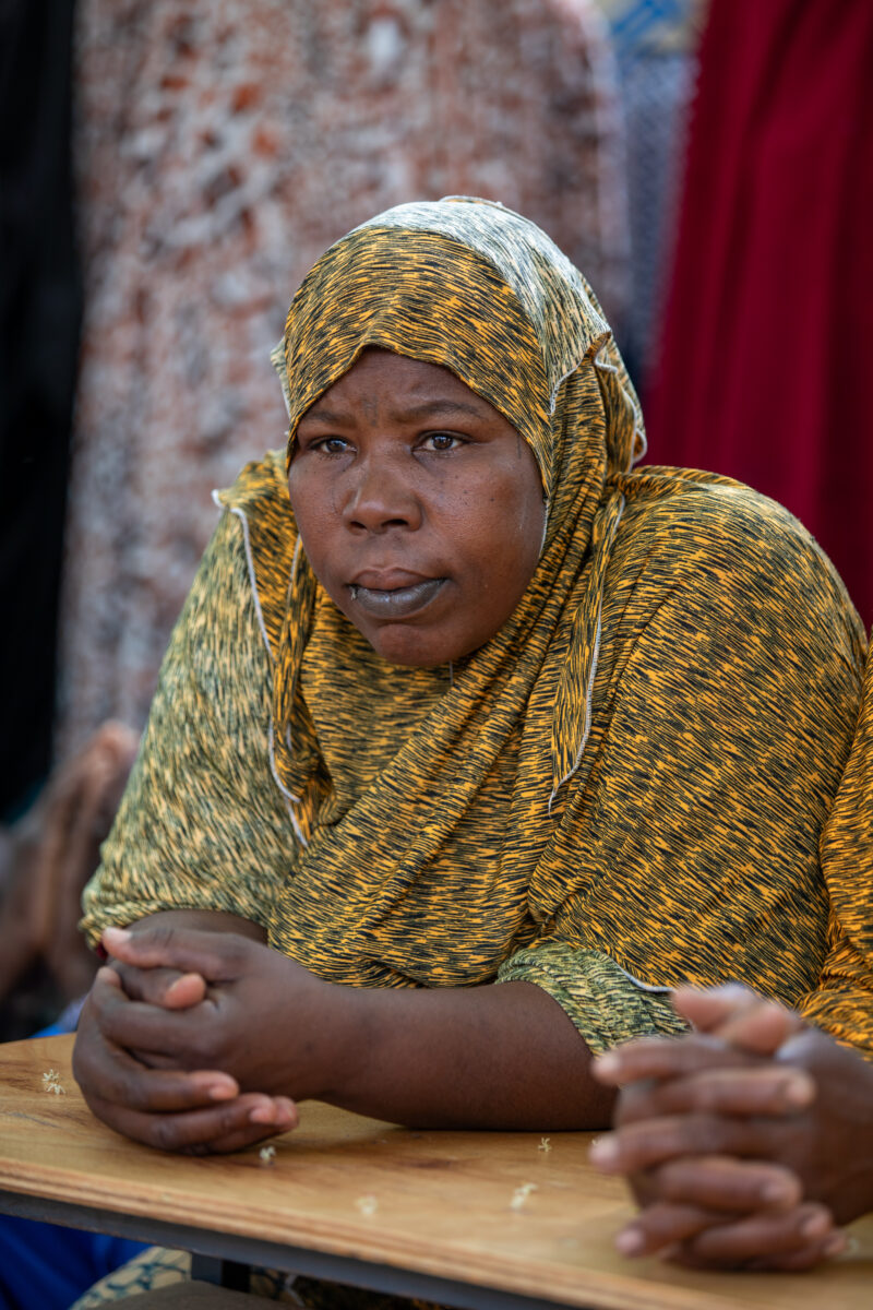 Parents Attend Meeting — Parents in Rural Niger attend a parrent teacher meeting. — Adult, Africa, Education, Eyes Open, Female