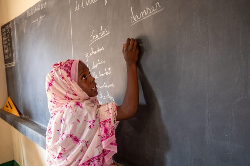 Girl Student at Blackboard — Africa, Education, Niger, One Face, Person
