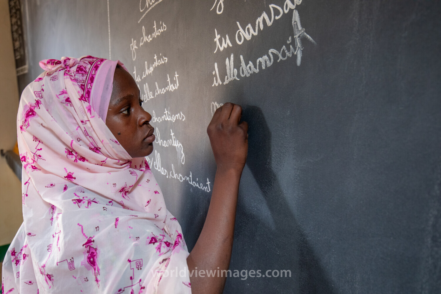 Girl Student at Blackboard