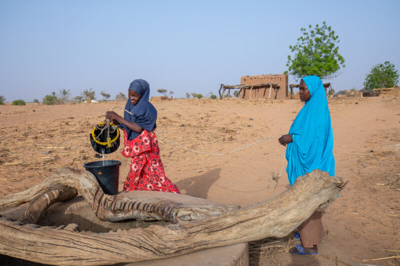 Collecting Water in Niger — A daily task in many regions of rural Africa is the trip to a water source to collect water. — Adult, Africa, Desert, Education, ...
