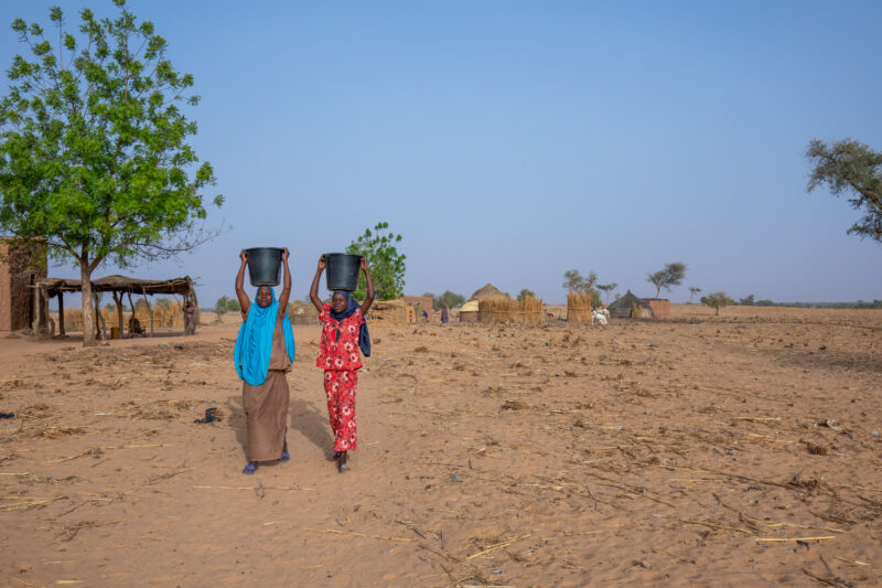 Collecting Water in Niger — A daily task in many regions of rural Africa is the trip to a water source to collect water. — Adult, Africa, Desert, Education, ...