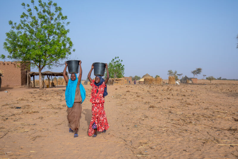 Collecting Water in Niger — A daily task in many regions of rural Africa is the trip to a water source to collect water. — Adult, Africa, Desert, Education, ...