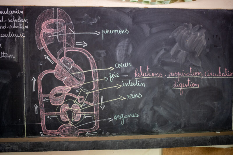 Niger2019__4240 — Africa, Education, Niger, Illustration, Blackboard