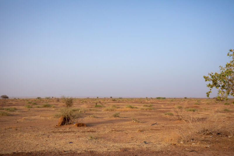 Dry Season — Fields in Niger, Africa, close to the Sahara deasert, lay bare during the driy season. — Africa, Complementary Colors, Education, Lowland, Nature