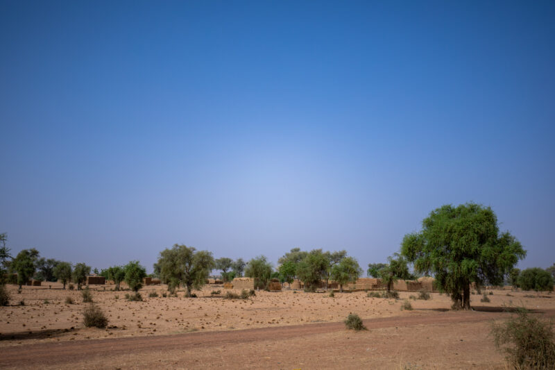 Dry Season — Fields in Niger, Africa, close to the Sahara deasert, lay bare during the driy season. — Africa, Agriculture, Desert, Education, Field