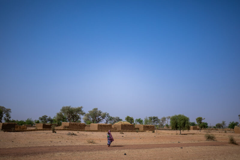 Dry Season — Fields in Niger, Africa, close to the Sahara deasert, lay bare during the driy season. — Africa, Desert, Education, Lowland, Nature