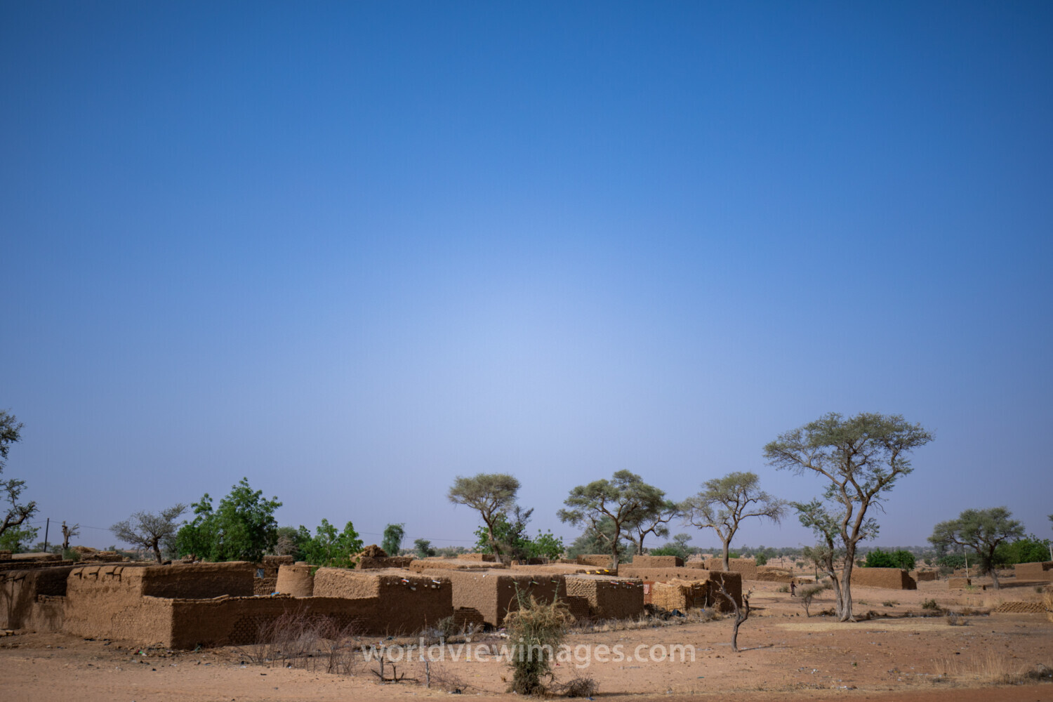 Niger2019__4394