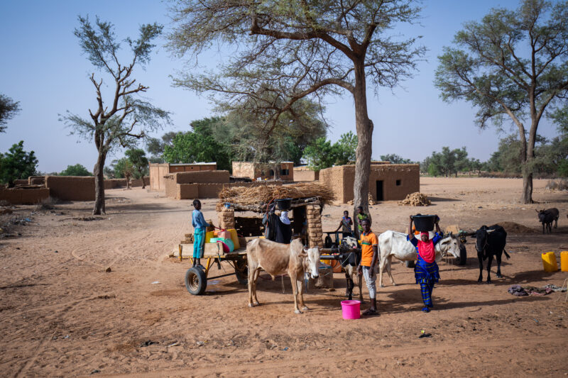 Niger2019__4411 — Africa, Desert, Education, Nature, Niger