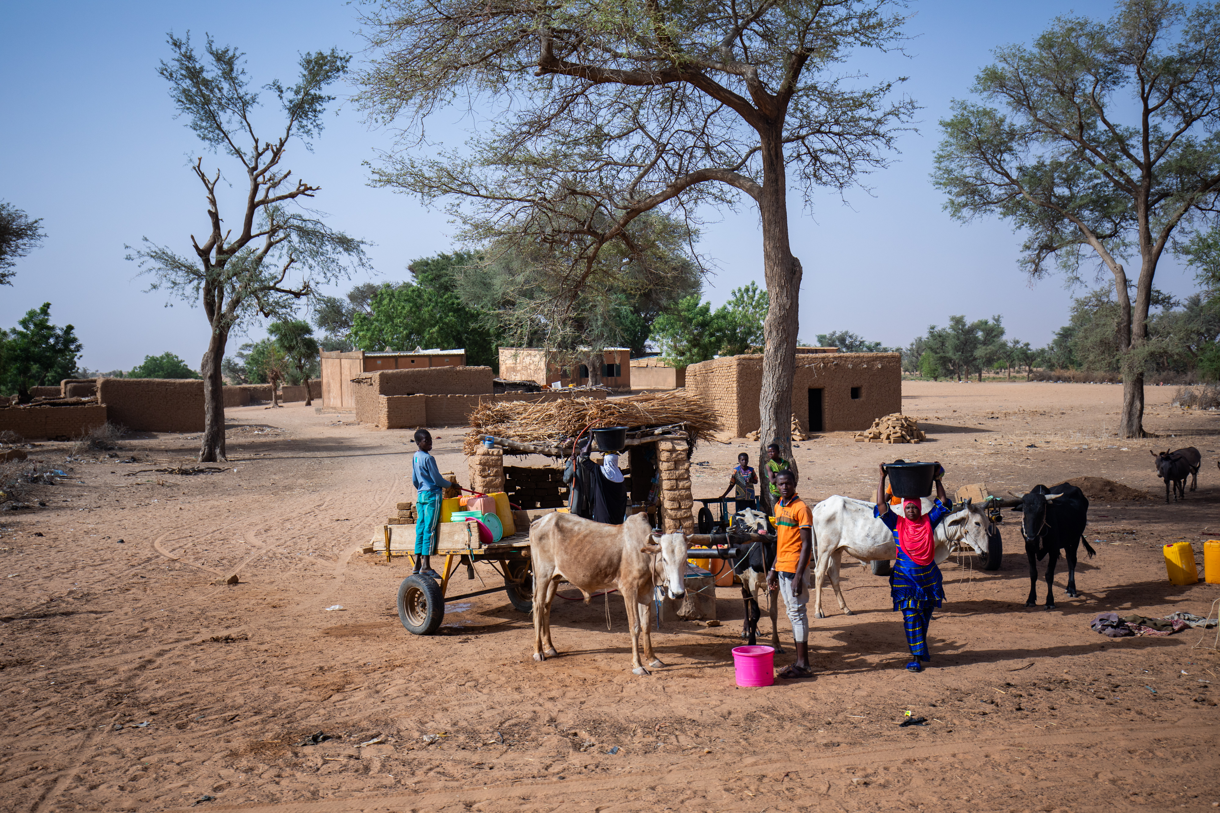 Niger2019__4411