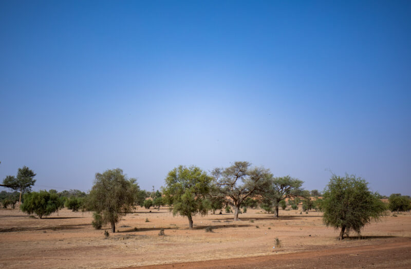 Dry Season — Fields in Niger, Africa, close to the Sahara deasert, lay bare during the driy season. — Africa, Education, Lowland, Nature, Niger