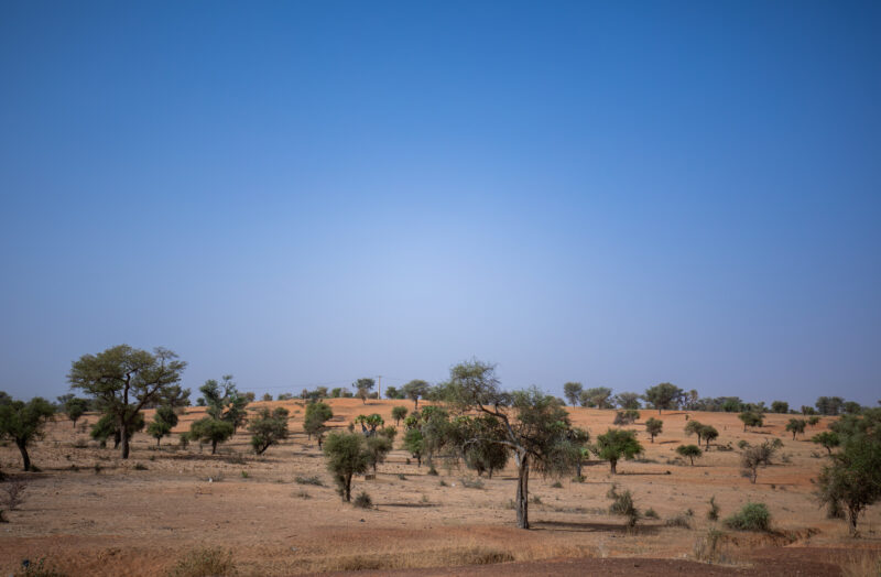 Dry Season — Fields in Niger, Africa, close to the Sahara deasert, lay bare during the driy season. — Africa, Education, Lowland, Nature, Niger