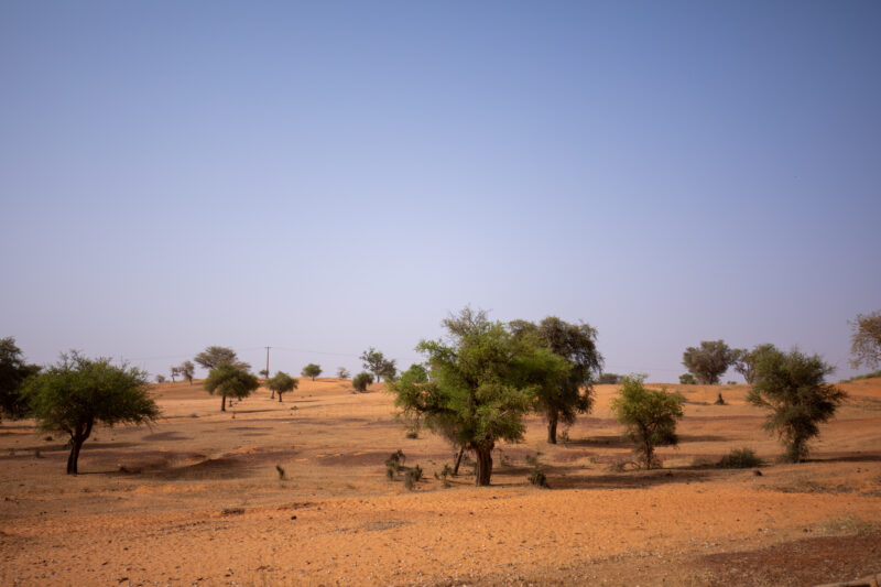 Dry Season — Fields in Niger, Africa, close to the Sahara deasert, lay bare during the driy season. — Africa, Education, Lowland, Nature, Niger