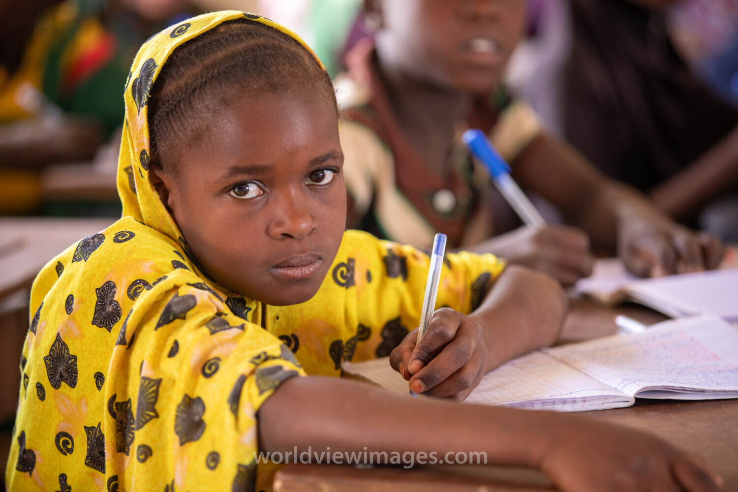 Girl in Niger Attends School