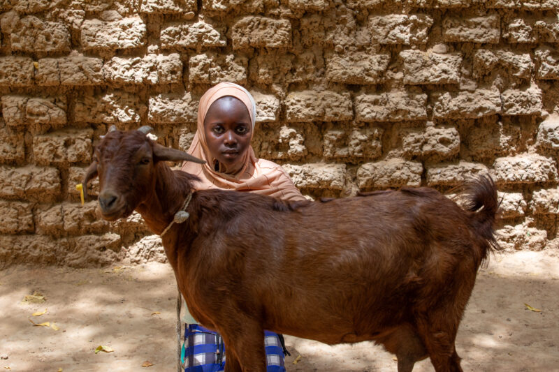 Girl and her Goat in Niger — As a way to promote income generation and food security, ADRA provides goats and training on how to take care of goats in Niger,...