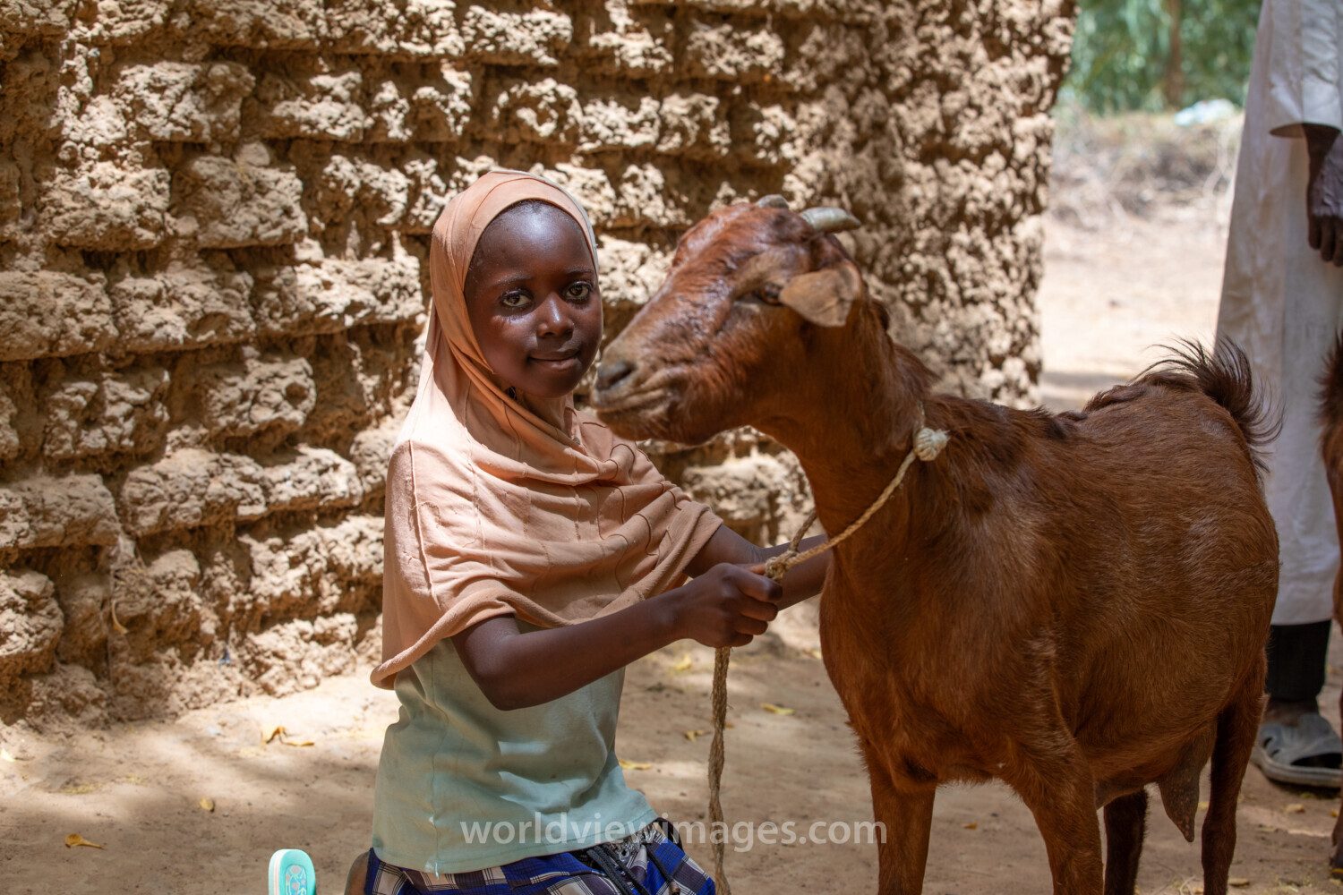 Girl and her Goat in Niger