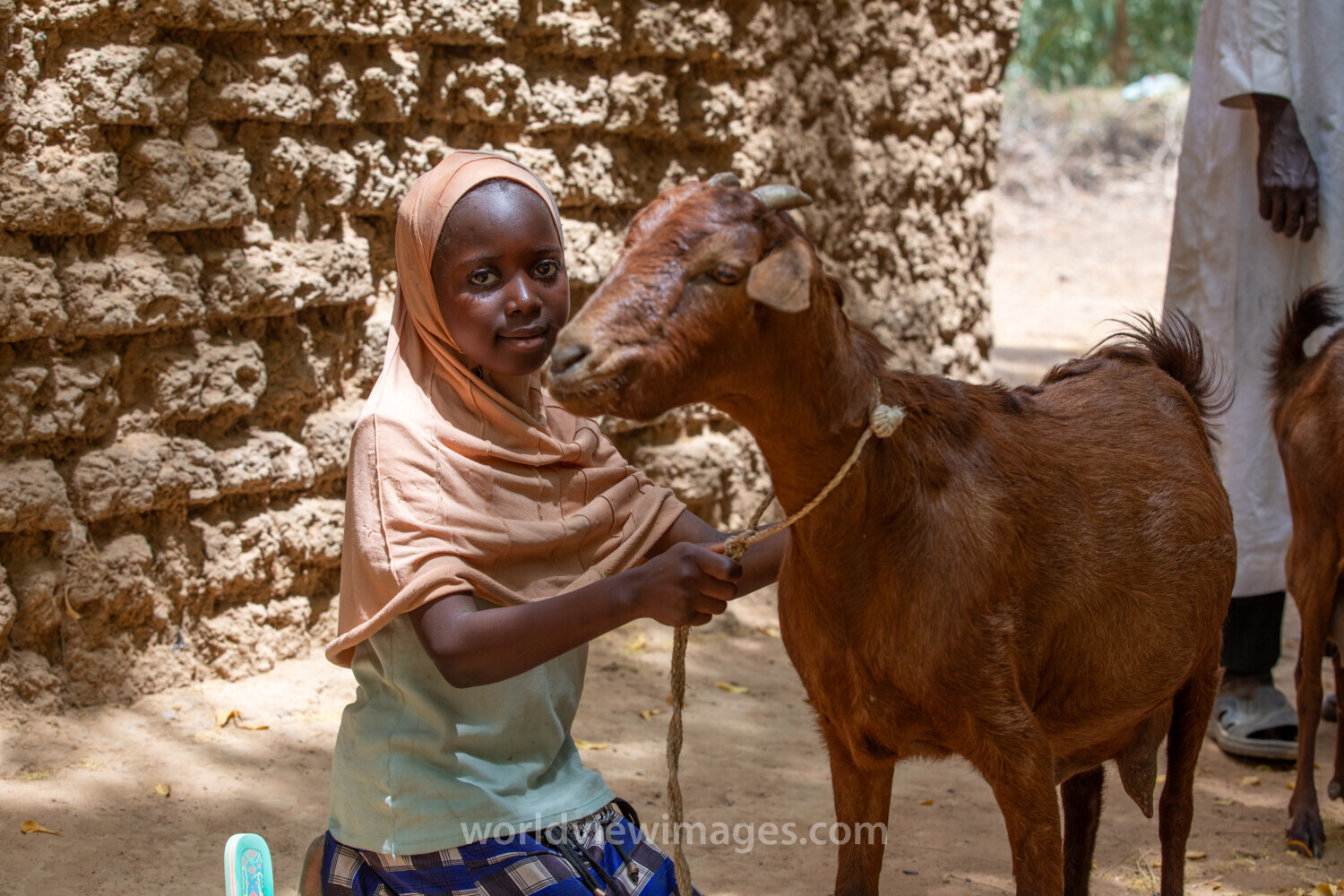 Girl and her Goat in Niger