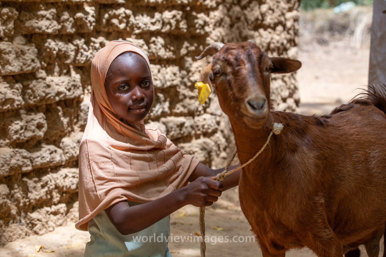 Girl and her Goat in Niger