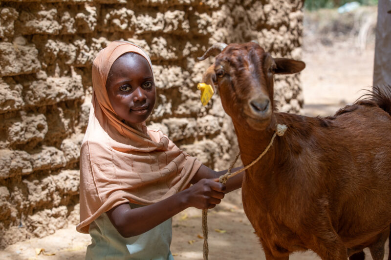 Girl and her Goat in Niger — As a way to promote income generation and food security, ADRA provides goats and training on how to take care of goats in Niger,...