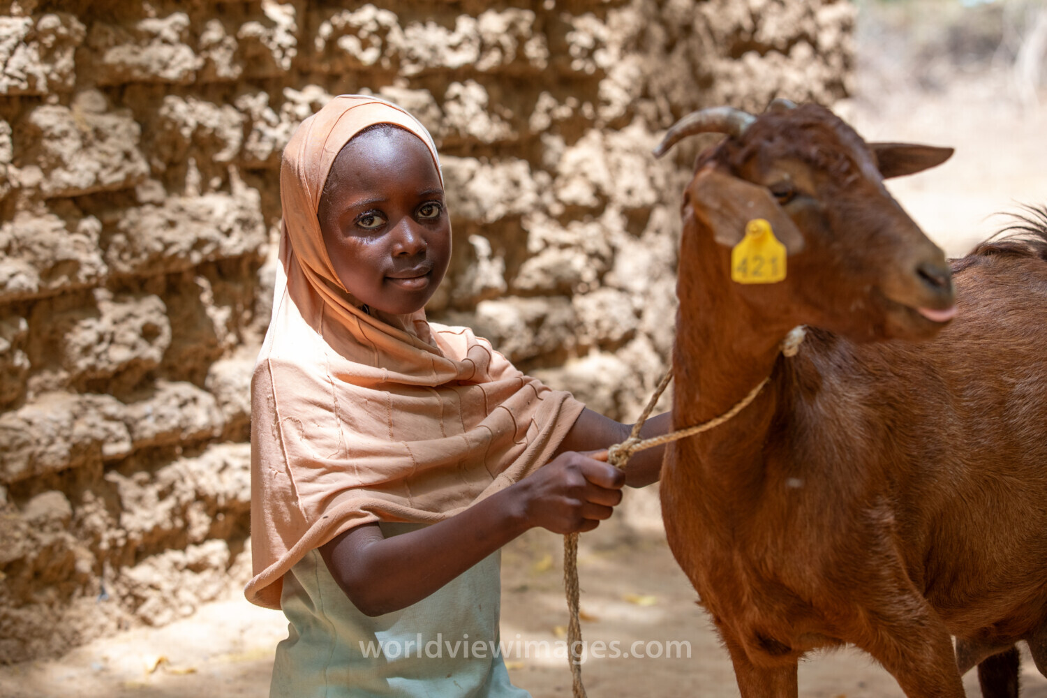 Girl and her Goat in Niger