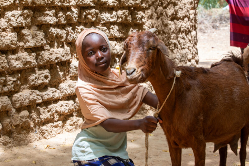 Girl and her Goat in Niger — As a way to promote income generation and food security, ADRA provides goats and training on how to take care of goats in Niger,...