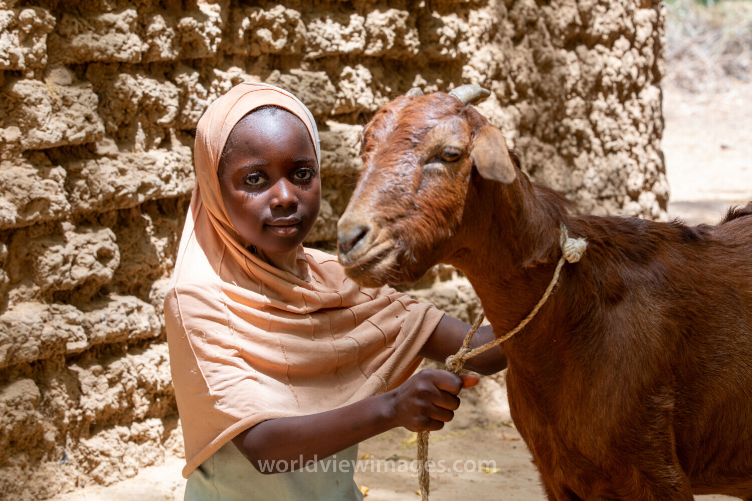 Girl and her Goat in Niger