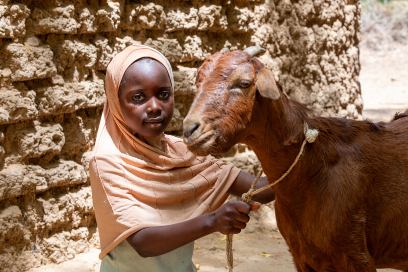 Girl and her Goat in Niger — As a way to promote income generation and food security, ADRA provides goats and training on how to take care of goats in Niger,...