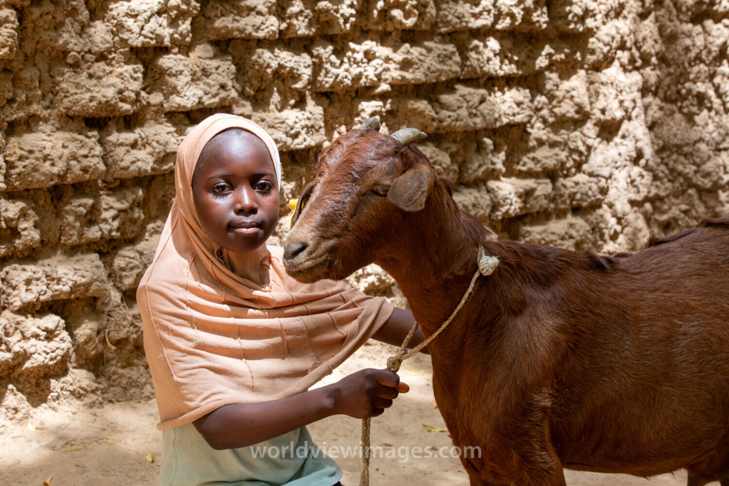Girl and her Goat in Niger