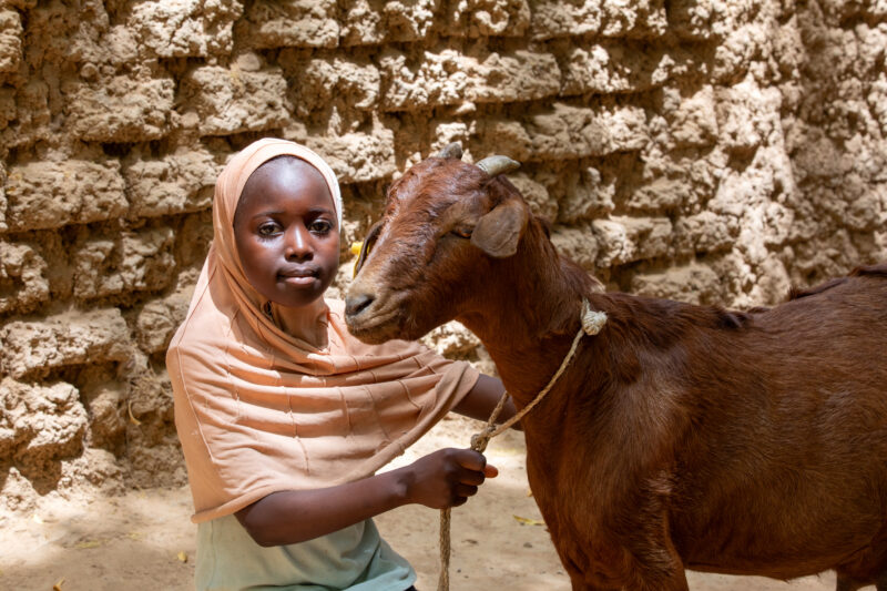Girl and her Goat in Niger — As a way to promote income generation and food security, ADRA provides goats and training on how to take care of goats in Niger,...
