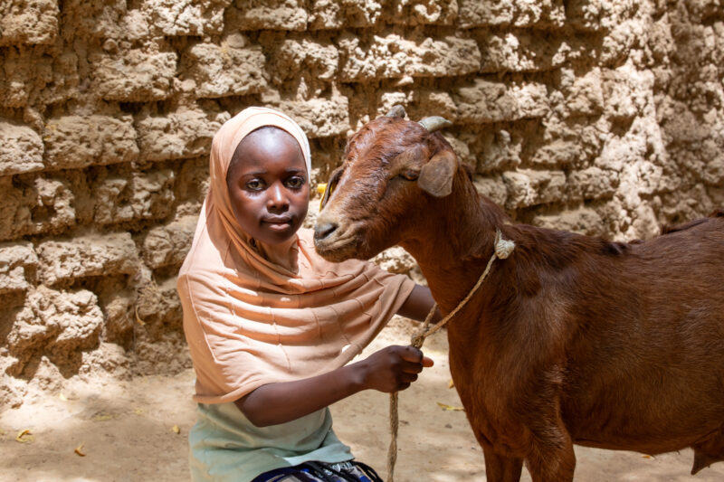 Girl and her Goat in Niger — As a way to promote income generation and food security, ADRA provides goats and training on how to take care of goats in Niger,...
