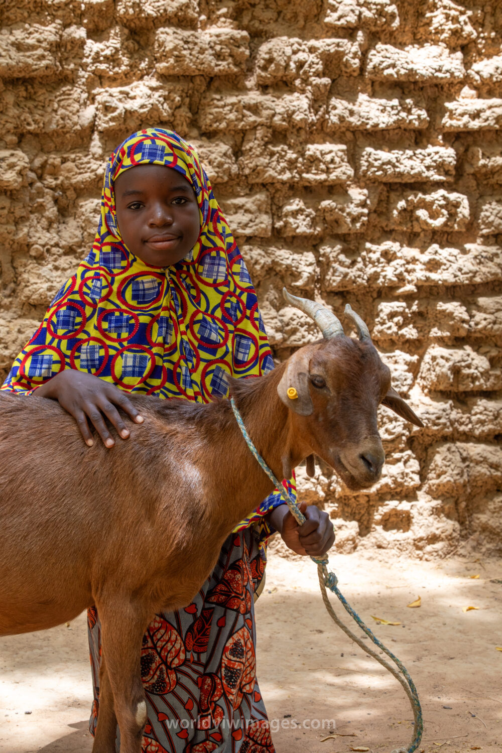 Girl and her Goat in Niger